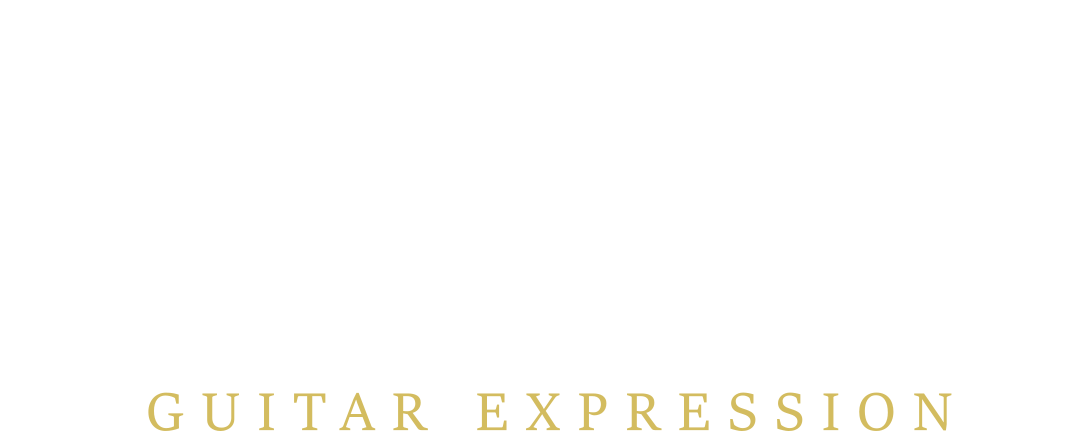 David Flores - Guitar Expression